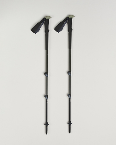 Black Diamond Trail Trekking Poles Pine Smoke – Grigio