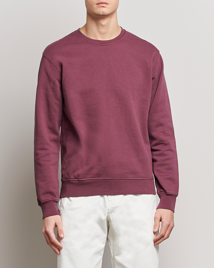 Uomini |  | Colorful Standard | Classic Organic Crew Neck Sweat Dusty Plum